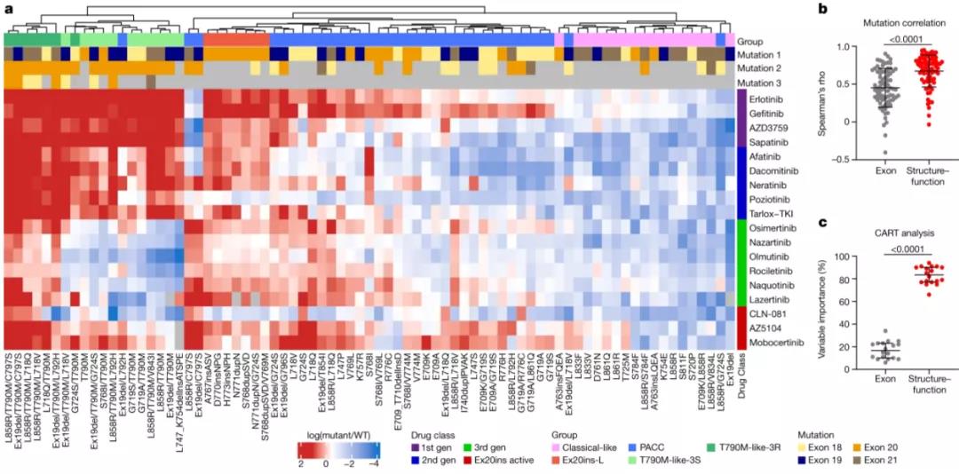 Nature重磅：這種致死率高的惡性腫瘤，或?qū)⒂瓉?lái)精準(zhǔn)治療時(shí)代