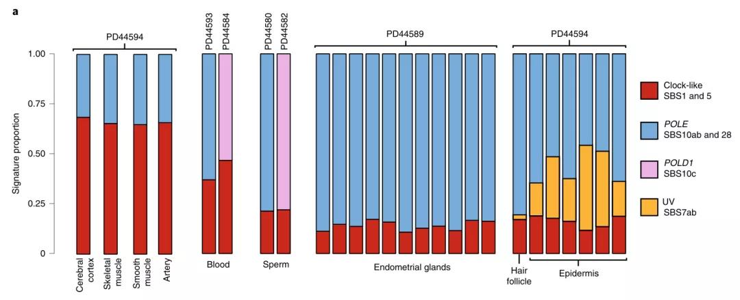 人為什么會得癌癥？《自然》子刊對體細(xì)胞、胚胎、精子測序發(fā)現(xiàn)重要基因！