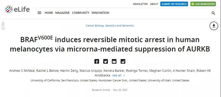 小黑痣是怎么癌變成黑色素瘤的？與周圍皮膚中的環(huán)境信號有關(guān)反應(yīng)，提高移植細(xì)胞的生存率