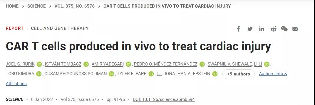 CAR-T技術(shù)再升級(jí)！無需體外編程T細(xì)胞，一針注射修復(fù)受損心臟，省錢又省心！