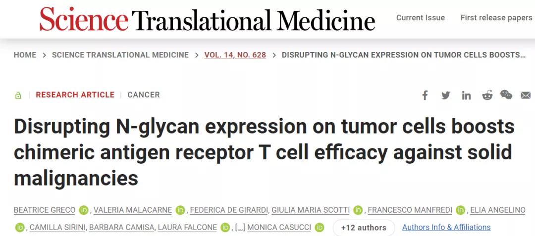 摘去腫瘤細(xì)胞的“糖衣”，CAR-T即成為“炮彈”！