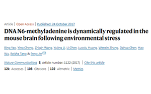 別再emo了，情緒真的能夠改變基因！