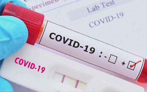 如何避免“假陽性”？西寶生物重磅推出核酸污染假陽性治理方案