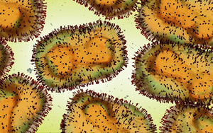 猴痘病毒檢測原料（涵蓋診斷酶、抗原、抗體），西寶生物助力猴痘檢測