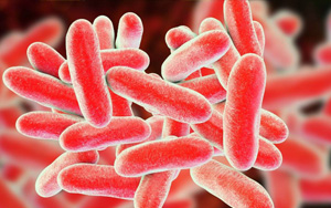 已確診19例！繼新冠和猴痘之后，美國(guó)軍團(tuán)病疫情來(lái)勢(shì)洶洶