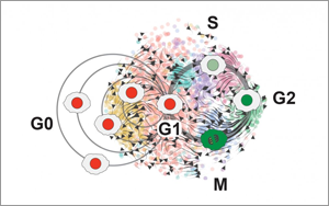 癌細胞殺不完？不如試試將腫瘤“永久休眠”！