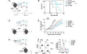 PNAS驚人大發(fā)現！發(fā)燒竟能抗癌，“小病不斷，大病不犯”或許不是謠傳