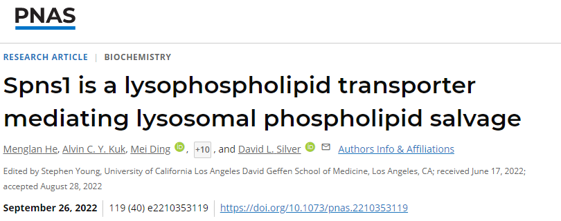 科學(xué)家發(fā)現(xiàn)溶酶體中的蛋白質(zhì)參與循環(huán)細(xì)胞膜中重要的脂質(zhì)成分以保持細(xì)胞健康