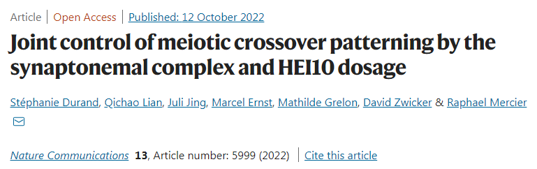 通過突觸復(fù)合體和HEI10聯(lián)合控制減數(shù)分裂交叉模式