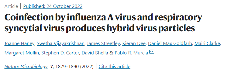 研究發(fā)現(xiàn)兩種常見(jiàn)呼吸道病毒IAV和RSV相互融合形成了一種圈子內(nèi)的混合病毒