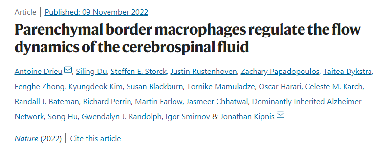 研究人員發(fā)現(xiàn)大腦周圍的免疫細(xì)胞會(huì)影響廢物從大腦中清除的效率