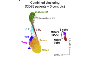 這類人群感染HPV后可能成為“樹人”！Cell揭示CD28缺乏與HPV易感性之間的關系