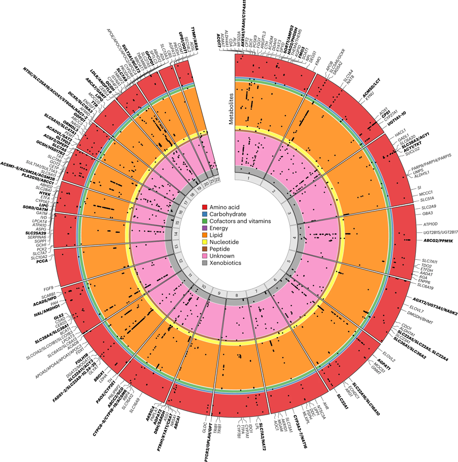 圓形圖演繹了與代謝物的區(qū)域關(guān)聯(lián)的基因組位置