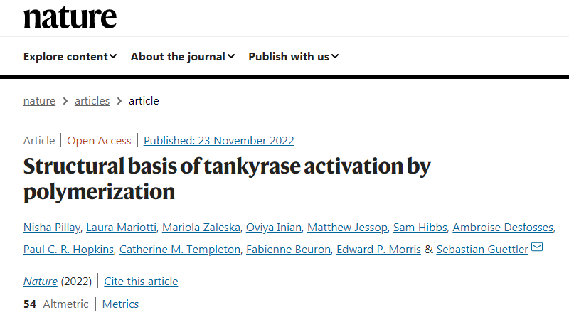 科學(xué)家們已經(jīng)揭示了一種涉及廣泛細胞過程的關(guān)鍵蛋白質(zhì)的內(nèi)部工作原理