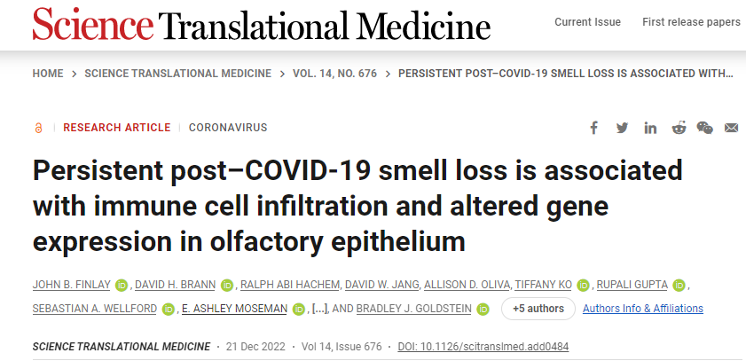 新冠肺炎后無法恢復(fù)嗅覺與免疫系統(tǒng)對嗅覺神經(jīng)細(xì)胞的持續(xù)攻擊以及這些細(xì)胞數(shù)量的相關(guān)下降有關(guān)
