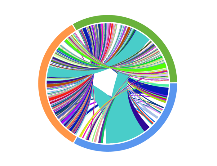 在接受抗pd1治療的患者身上收集的匹配T細(xì)胞受體測序結(jié)果的Circos圖