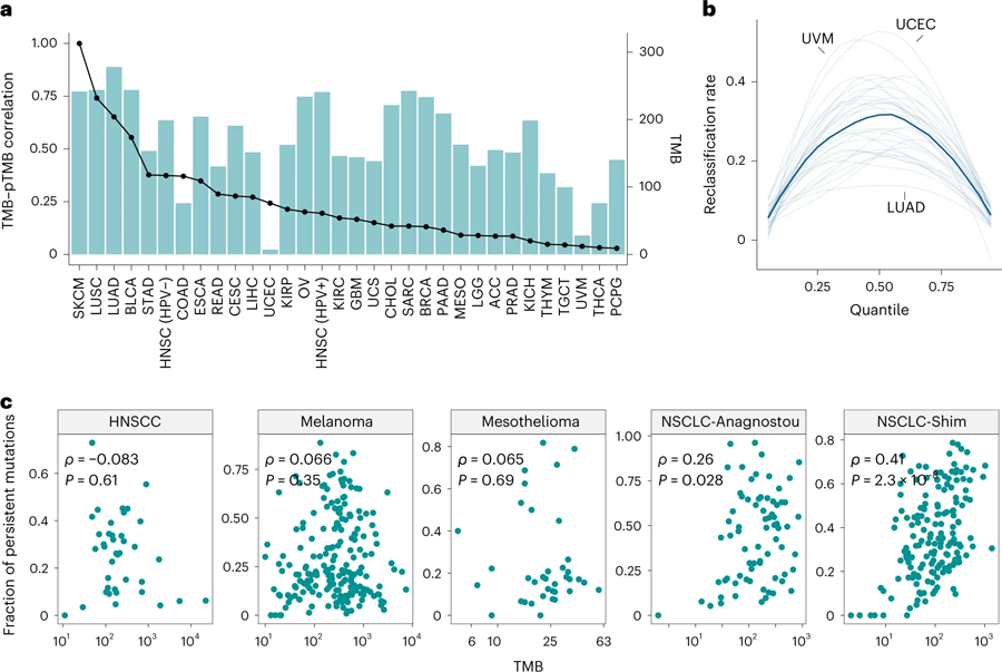 持久性突變含與TMB之間的相關(guān)性評估