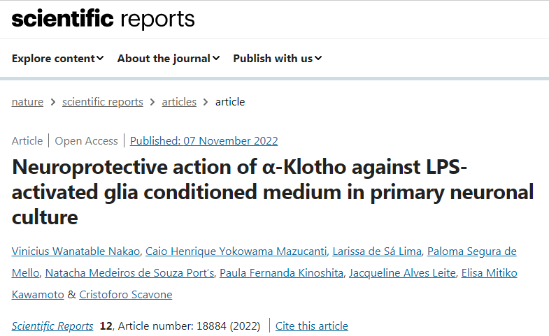 蛋白質(zhì)klotho保護膠質(zhì)細胞免受炎癥和死亡的影響