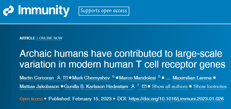 研究人員發(fā)現(xiàn)編碼T細(xì)胞受體的基因在人和人群之間存在很大差異