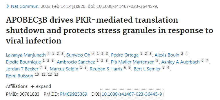 新研究揭示了一種名為APOBEC3B的蛋白質(zhì)如何保護(hù)細(xì)胞免受RNA病毒感染