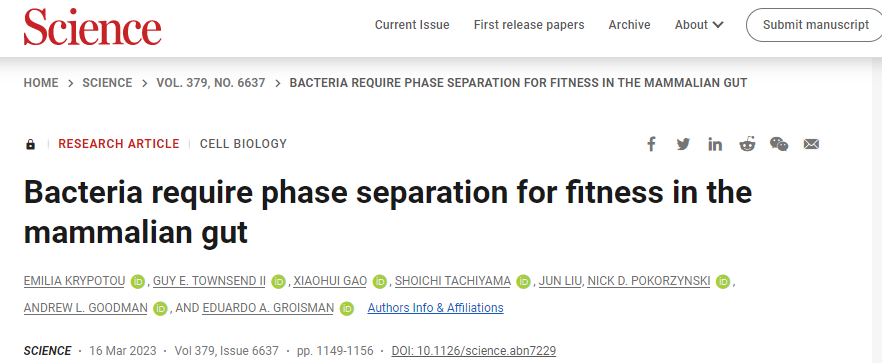 研究人員發(fā)現(xiàn)了有益細(xì)菌在腸道定植的一種新的機(jī)制