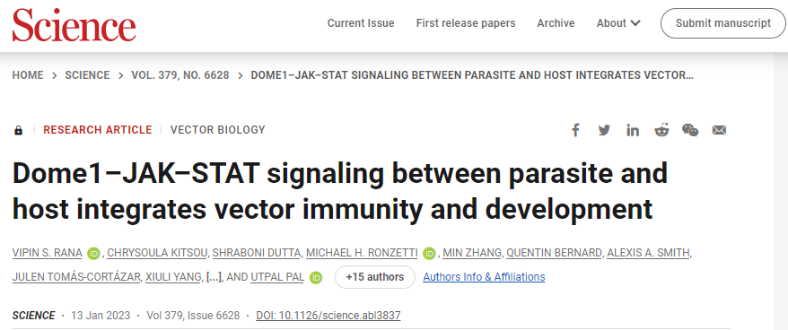 研究人員發(fā)現(xiàn)了宿主和節(jié)肢動(dòng)物寄生蟲(chóng)之間的第一個(gè)物種間信號(hào)通路