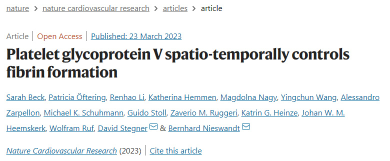 研究人員破譯了纖維蛋白形成的中央調(diào)節(jié)機(jī)制