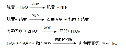 腺苷脫氨酶（ADA）過氧化物酶法檢測原理