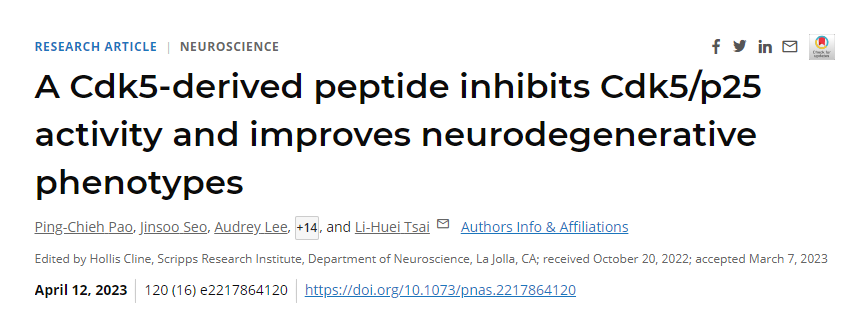 研究發(fā)現(xiàn)通過(guò)干擾阿爾茨海默病患者大腦中通常過(guò)度活躍的一種酶來(lái)逆轉(zhuǎn)神經(jīng)退行性變
