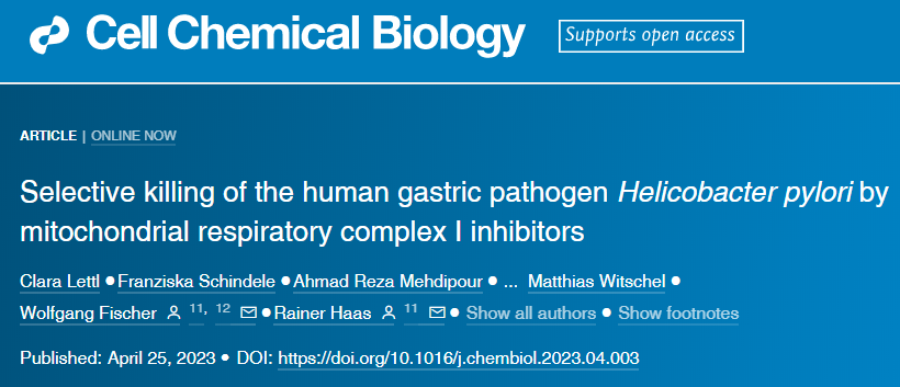 LMU的研究人員發(fā)現(xiàn)了幽門螺桿菌的一個弱點，可以用來開發(fā)新藥