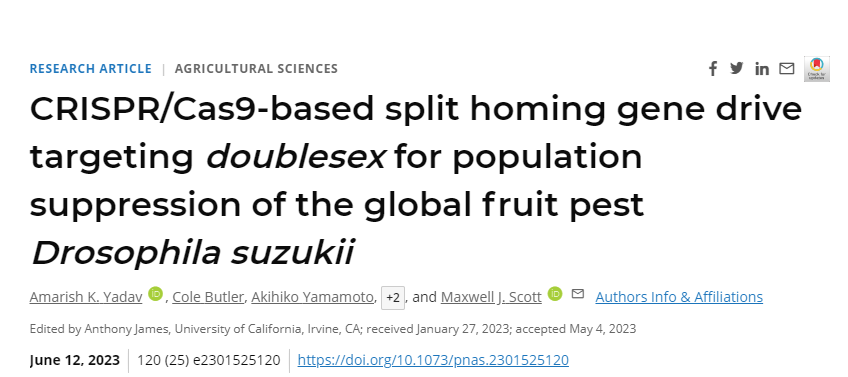 研究人員已經(jīng)開發(fā)出一種基于CRISPR/Cas9的歸巢基因驅(qū)動系統(tǒng)