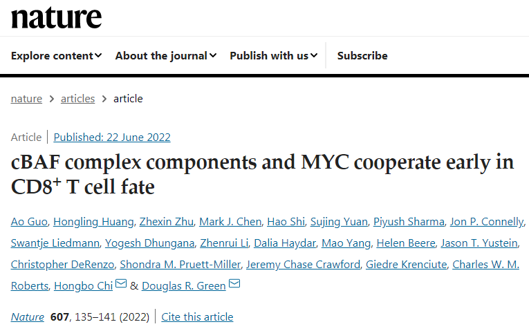 研究團(tuán)隊(duì)發(fā)現(xiàn)cBAF蛋白質(zhì)復(fù)合物可控制T細(xì)胞的命運(yùn)