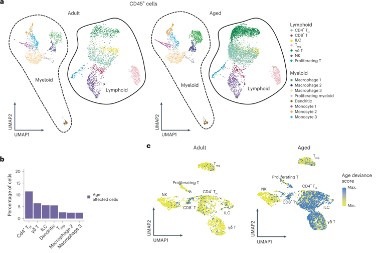 淋巴免疫細(xì)胞亞群顯示IL-17A/F相關(guān)信號傳導(dǎo)增加
