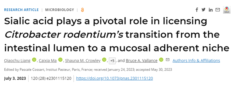 研究表明，腸道細菌感染和一系列與腸道細菌有關(guān)的慢性疾病都有可能成為治療目標(biāo)