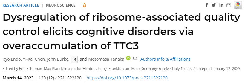 研究人員首次明確了細胞中蛋白質(zhì)合成過程中的質(zhì)量控制與神經(jīng)系統(tǒng)疾病之間的聯(lián)系