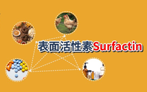 【脂肽類(lèi)表面活性劑】表面活性素(Surfactin, CAS:24730-31-2)