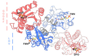 Science子刊：酶的開關(guān)