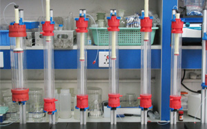 降“層析介質(zhì)”成本，增“分離純化”效率