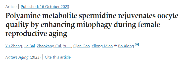 多胺代謝產(chǎn)物亞精胺在女性生殖衰老過程中通過增強線粒體自噬使卵母細胞質量恢復活力