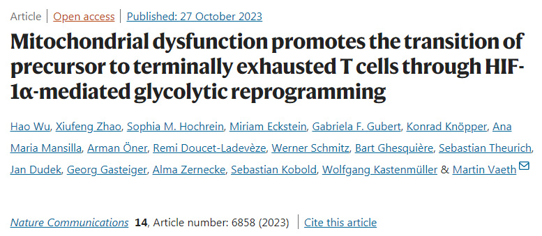 線粒體功能障礙通過HIF-1α介導的糖酵解重編程促進前體向最終衰竭的T細胞的轉變