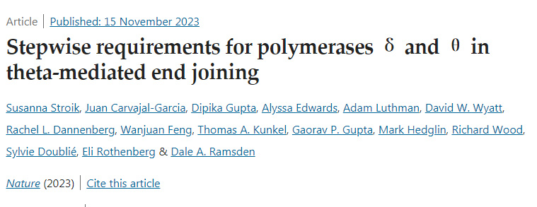 聚合酶δ和θ在θ介導(dǎo)的末端連接的逐步需求