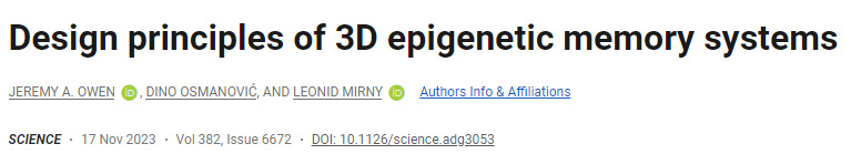 三維表觀遺傳記憶系統(tǒng)的設計原理