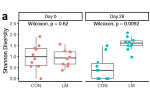 研究揭示了營養(yǎng)不良和抗生素耐藥性上升之間的驚人聯(lián)系