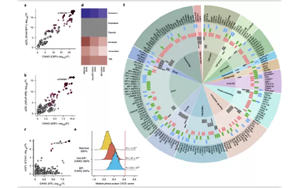 高血壓遺傳嗎？Nature子刊揭示高血壓的遺傳機(jī)制