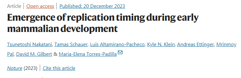 哺乳動物早期發(fā)育過程中復(fù)制時機(jī)的出現(xiàn)