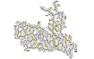 令人驚訝的蛋白質導致早期癡呆