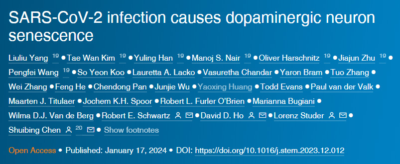 可溶性多價Jag1DNA折疊納米模板在沒有外力作用下激活細(xì)胞受體Notc