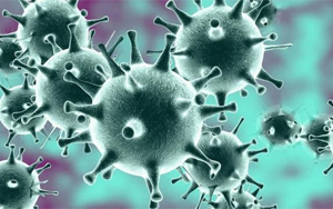 感染318天，體內(nèi)變異40次！COVID-19病例揭示新冠病毒的“超級(jí)進(jìn)化史”