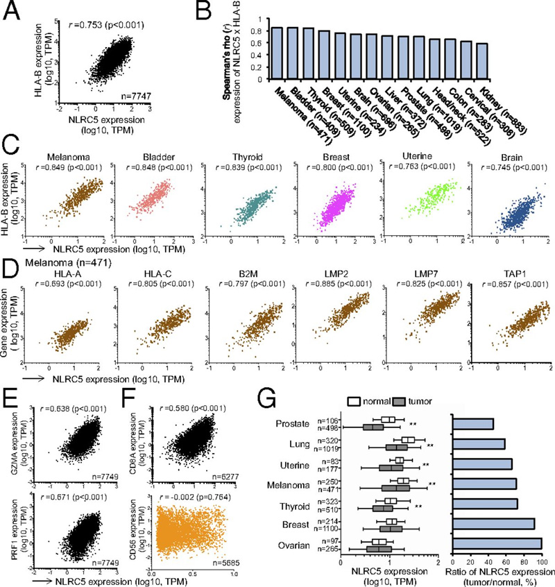 NLRC5和MHC I類基因表達(dá)與人類癌癥相關(guān)