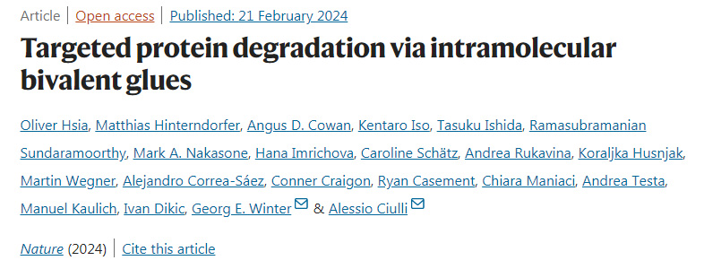 分子內(nèi)二價膠靶向降解蛋白質(zhì)